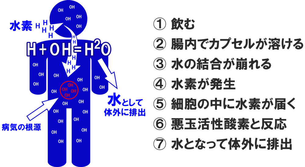 水素サプリ