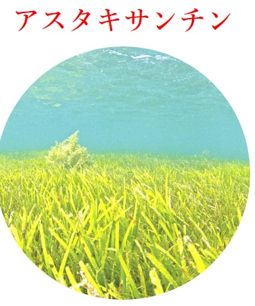 ダウンロード (10)